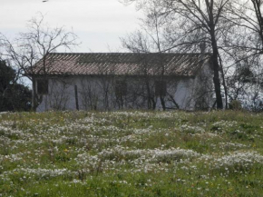 Roman Countryside! House surrounded by nature Sant'oreste